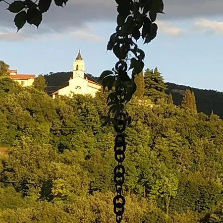 公寓 Dolci Vecchi Ricordi In Valpolicella 内格拉尔