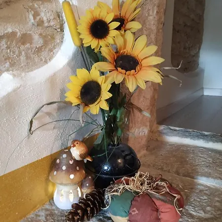 Dolci Vecchi Ricordi In Valpolicella Appartement