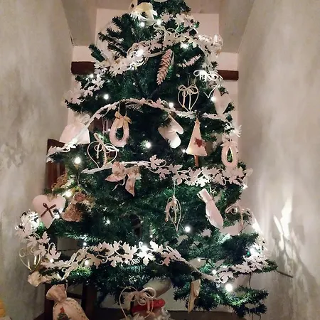 Dolci Vecchi Ricordi In Valpolicella Apartment Negrar